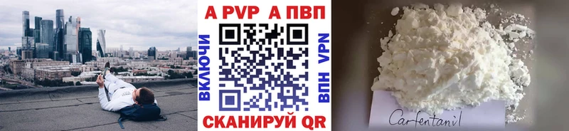 купить наркоту  Шенкурск  кракен ТОР  Alpha PVP крисы CK 