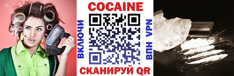 shop какой сайт  Шенкурск  Cocaine FishScale 