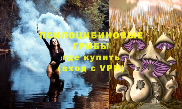 спайс Волоколамск